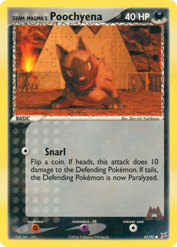Team Magma's Poochyena